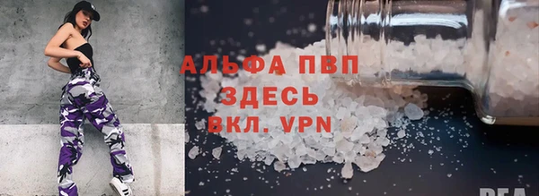 стафф Дмитров