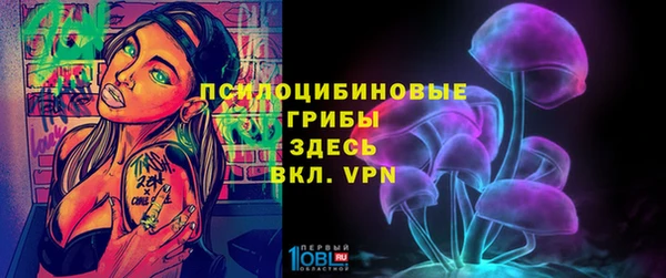 стафф Дмитров