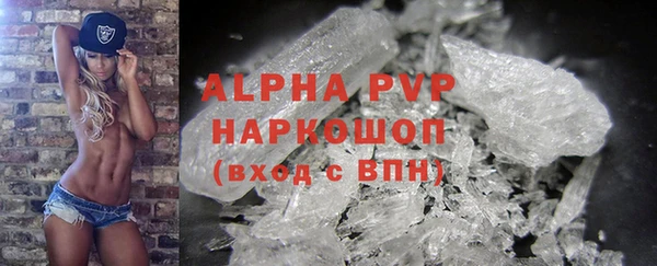 бошки Гусев