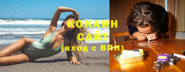 мяу мяу мука Вяземский