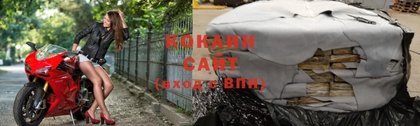 бошки Гусев
